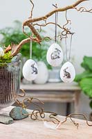 Rabbit Easter eggs hanging from twisted hazel branch