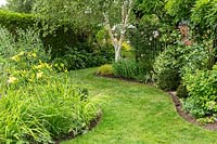 An informal country garden with a curving mowed grass path winding round perennial borders with Hemerocallis, a Pergola, and a Betula - Silver Birch - tree