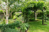 An informal suburban country garden with mixed planting including Betula - Silver Birch - inside a low clipped Buxus - Box - circle, trellis screens, lawn and a pergola with Wisteria and Clematis