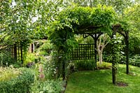 A wooden pergola in a lawn, with climbers including Wisteria and Clematis in an informal country garden