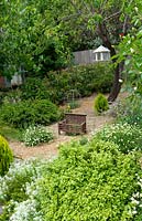 A straw mulched garden with flowering groundcovers, agapanthus, and an antique cast iron grate.