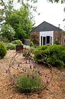 A barbed wire globe art work with a lavender planted in it sitting in a straw mulched garden in front of a garden studio.