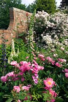 Border in walled cottage garden, mostly pink or white flowers such as Paeonia - Peony, Lupinus - Lupin and Digitalis - Foxglove