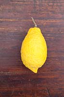Citrus medica 'Perettone' - Citron 