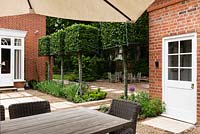 Line of Carpinus - Hornbeam - square trained trees in a bed separate patio with dining furniture with other seating area in gravel beyond