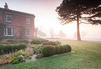 View across lawn with rows of Buxus - Box - balls by house towards trees in mist