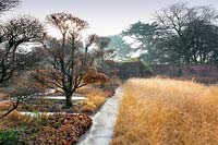 Winter borders of grasses and trees with paths running through walled garden.