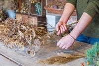 Man cutting stems of dried wild carrot seedheads
