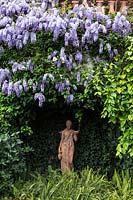 Statue in garden with flowering Wisteria sinensis 'Prolific'. Villa Pergola. Alassio, Italy.