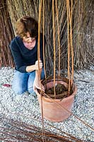 Woman making plant support out of willow stems.