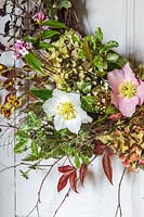 Close up detail of rustic New Year wreath hung on wooden door including Helleborus - Hellebore and Hydrangea flowers
