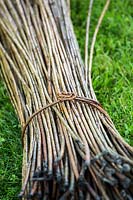 Salix - Willow - bundle - on grass, tied with willow 