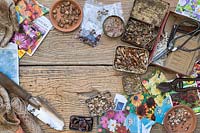 Various saved flower and vegetable seeds in tins with tools and seed packets