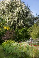 wildflower meadow with crane sculpture, in front of a magnificent white Wisteria 