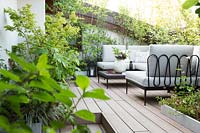 An outdoor lounge on the terrace with decking, seating and screening from a mix of shrubs

