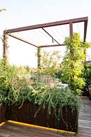 Raised metal planters with mixed plants on Italian terrace garden.
