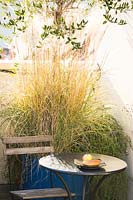 Small table and chair are backed by olive tree and Stipa arundinacea in raised planter. 