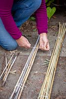 Bringing cane plant supports into the greenhouse for storage. Sorting them into different sizes and tying them into bundles
