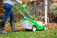 Using a mower to remove fallen leaves from a lawn