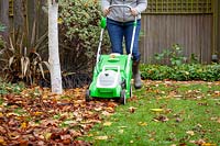 Using a mower to remove fallen leaves from a lawn