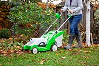 Using a mower to remove fallen leaves from a lawn.