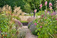 Mixed planting with Alcea rosea - Hollyhock, Lavandula angustifolia - Lavender, Stipa gigantea, Stachys byzantina and Salvia 'Caradonna, double border either side of seashell path