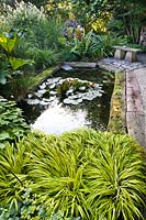 Pond area in small garden with bench and surrounded by mixed bed which includes: Hakonechloa macra 'Aureola' and Gunnera. Floating Nymphaea odorata - Waterlily