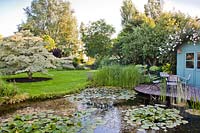 View over pond with Nymphaea - Waterlily - pads to marginal planting, lawns and trees