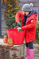 Cleaning terracotta pots with a hand brush and bucket of warm water