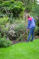 Hoeing weeds in a border using a swoe hoe