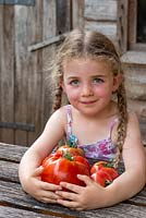 Young girl with her hands around a harvest of Beef Heart Tomato fruit 