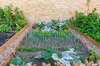 Leeks, salads, Zucchini, Tagetes in raised beds 