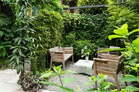 A relaxed seating area, privacy from metal pergola with Clematis armandii, trough of Phyllostachys bissetii - Bamboo and a screen of Hedera hibernica - Ivy