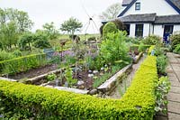 Kitchen garden, view over low edge to raised beds and central wigwam, house beyond 