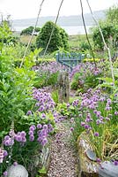 Raised beds with Allium schoenoprasum - Chive - in a kitchen garden, view over gate to the coast