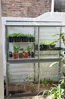 Glass greenhouse outside against a brick wall painted white, contains small potted plants 