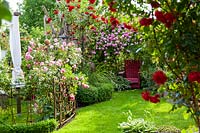 Romantic corner of garden with Rosa 'Ben Cant' and handmade red chair 