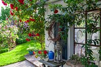 Corner of building with Rosa 'Illusion' - Climbing Rose - and Lonicera caprifolium - Honeysuckle - on wall by window, view of garden with lawn and flowerbeds beyond