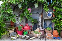 An eclectic collection of garden ornaments, pots, figures and hanging pots, displayed against old fence with Hedera - Ivy 