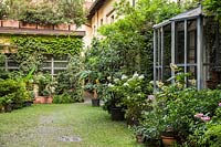 Building softened with plants, a collection of potted shrubs plus climbers on the walls such as Parthenocissus tricuspidata 'Veitchii' and  Wisteria
