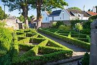 Formal Buxus - Box parterre garden with standard Iceberg roses. 
