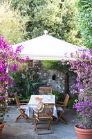 View through pots of Bougainvillea to a dining area under a gazebo