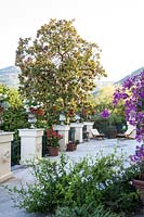 View along terrace with plinths with urns and Pelargonium, views of  Magnolia grandiflora and surrounding landscape