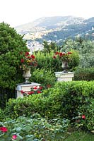 View over Pittosporum hedge to plinths each with an urn of mixed bedding including Pelargonium, view over landscape with hills 