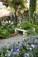 View over flower bed of Agapanthus to stone bench and Palm, nearby a bed with Hydrangea and Bergenia  