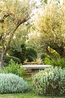Evergreen shrubs pruned in rounded forms growing under trees near stone table. Shrubs: Salvia Rosmarinus - Rosemary, Elaeagnus, Teucrium and Atriplex.