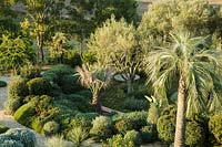 Overlooking garden of Jubaea chilensis - Chilean Wine Palm, Chamaerops humilis - Dwarf Fan Palm and Olea europaea - Olive - trees, underplanted with low clipped evergreen shrubs and perennials