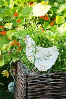 Rooster ornament in a raised bed with Tropaeolum majus