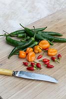 Serrated knife and fresh chillies - Green Cayenne, Orange Habanero, and Bird's Eye displayed on a chopping board.
