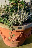 Terracotta pot with Erica - white heather, minature Cyclamen,  Helleborus niger - Hellebore and Hedera - Ivy.
